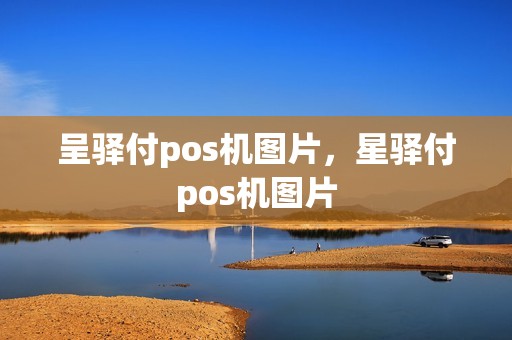 呈驿付pos机图片，星驿付pos机图片