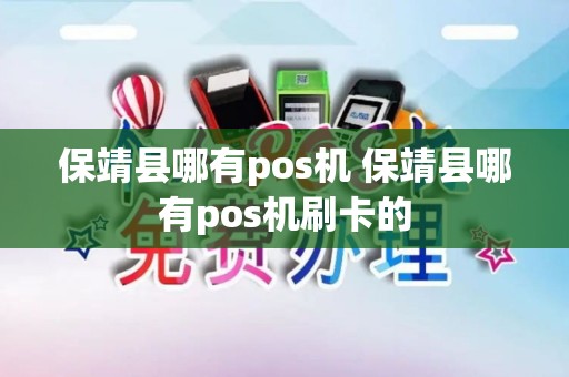 保靖县哪有pos机 保靖县哪有pos机刷卡的