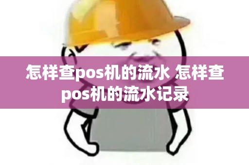 怎样查pos机的流水 怎样查pos机的流水记录