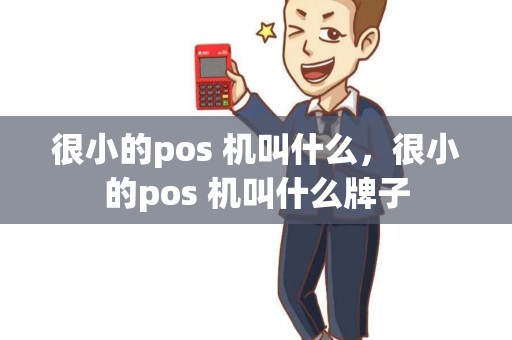 很小的pos 机叫什么，很小的pos 机叫什么牌子