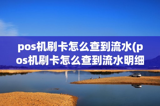 pos机刷卡怎么查到流水(pos机刷卡怎么查到流水明细)