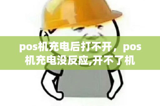 pos机充电后打不开，pos机充电没反应,开不了机