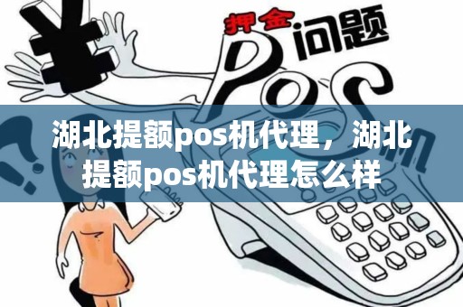 湖北提额pos机代理，湖北提额pos机代理怎么样