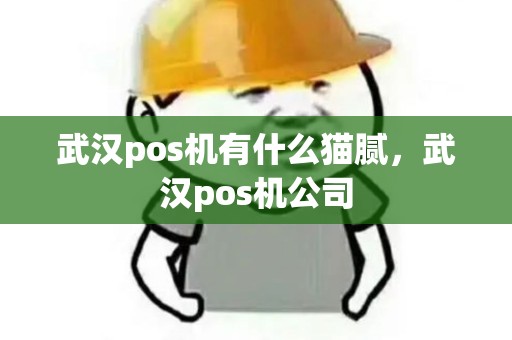 武汉pos机有什么猫腻，武汉pos机公司