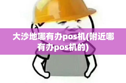 大沙地哪有办pos机(附近哪有办pos机的)
