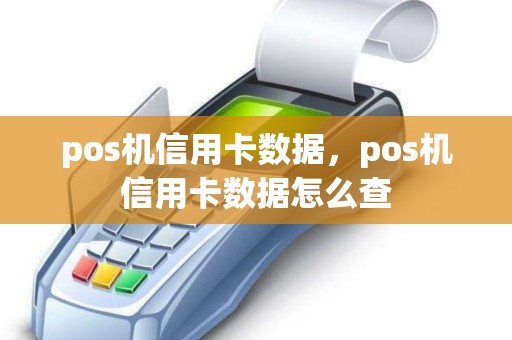 pos机信用卡数据，pos机信用卡数据怎么查