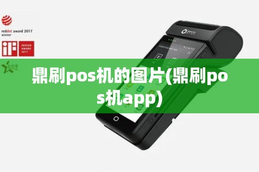 鼎刷pos机的图片(鼎刷pos机app)