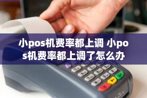 小pos机费率都上调 小pos机费率都上调了怎么办