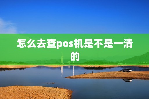 怎么去查pos机是不是一清的