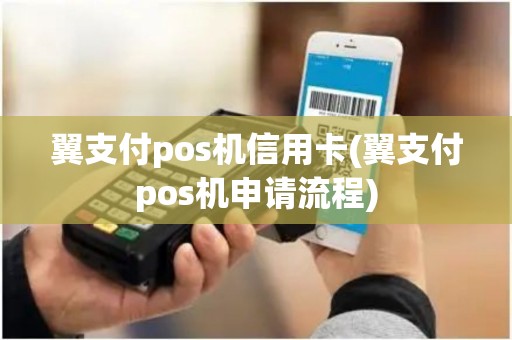翼支付pos机信用卡(翼支付pos机申请流程)