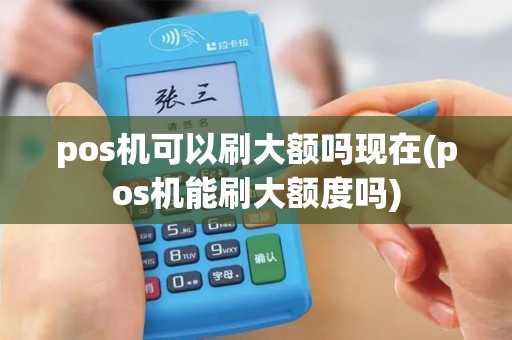 pos机可以刷大额吗现在(pos机能刷大额度吗)