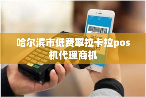 哈尔滨市低费率拉卡拉pos机代理商机