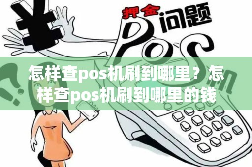 怎样查pos机刷到哪里？怎样查pos机刷到哪里的钱