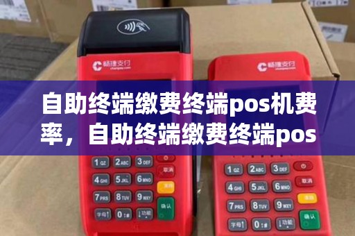 自助终端缴费终端pos机费率，自助终端缴费终端pos机费率怎么算