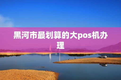 黑河市最划算的大pos机办理