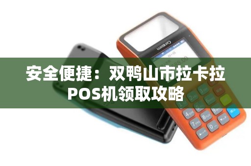 安全便捷：双鸭山市拉卡拉POS机领取攻略