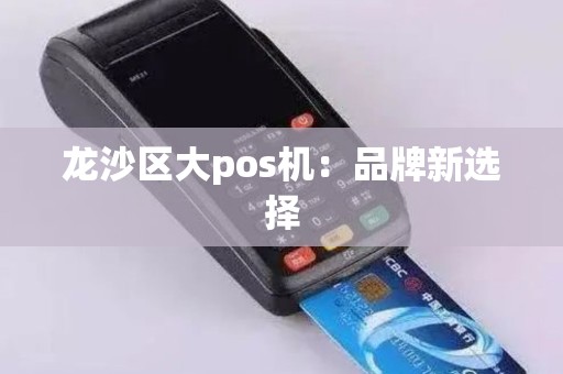 龙沙区大pos机：品牌新选择