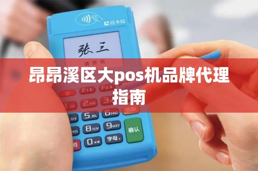 昂昂溪区大pos机品牌代理指南