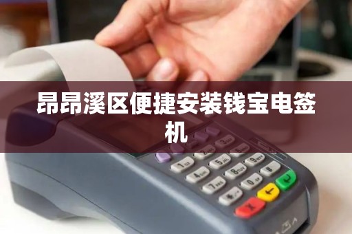 昂昂溪区便捷安装钱宝电签机