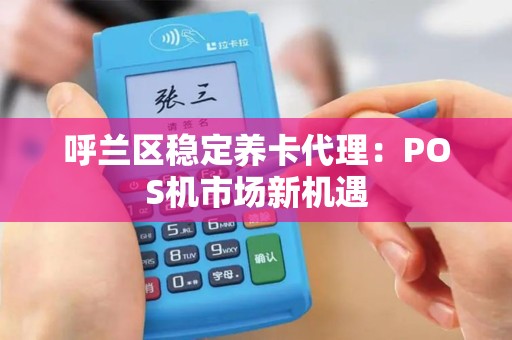 呼兰区稳定养卡代理：POS机市场新机遇
