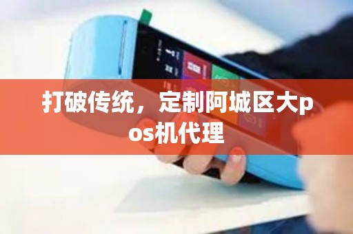 打破传统，定制阿城区大pos机代理