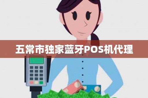 五常市独家蓝牙POS机代理