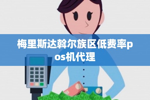 梅里斯达斡尔族区低费率pos机代理