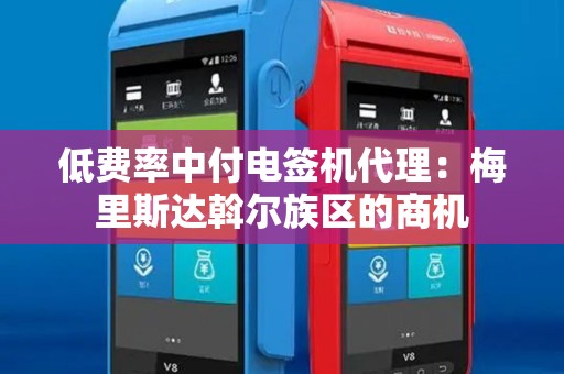 低费率中付电签机代理：梅里斯达斡尔族区的商机