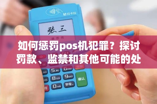 如何惩罚pos机犯罪？探讨罚款、监禁和其他可能的处罚方式