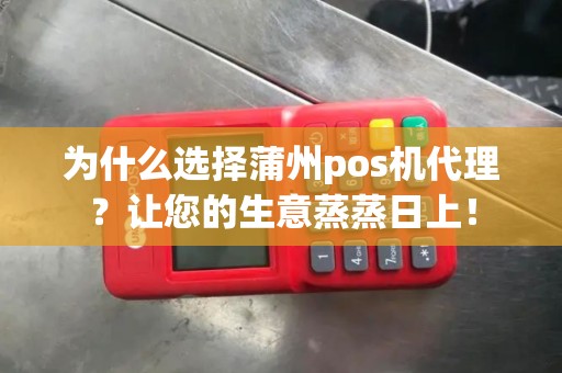 为什么选择蒲州pos机代理？让您的生意蒸蒸日上！