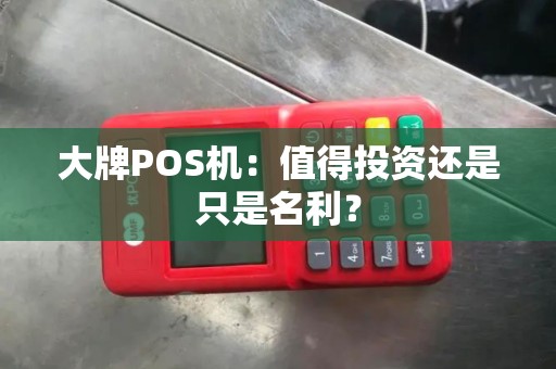 大牌POS机：值得投资还是只是名利？