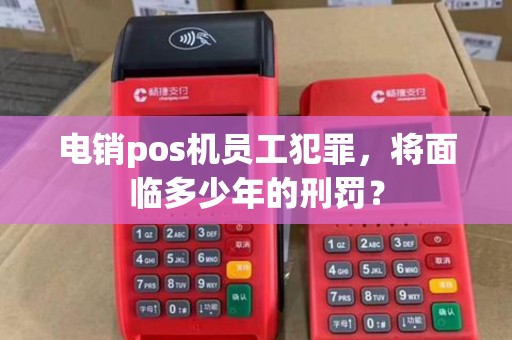 电销pos机员工犯罪，将面临多少年的刑罚？