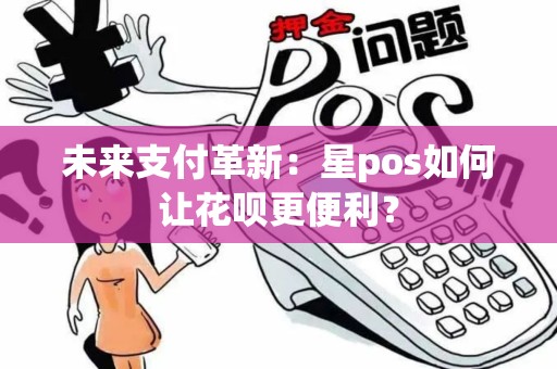 未来支付革新：星pos如何让花呗更便利？