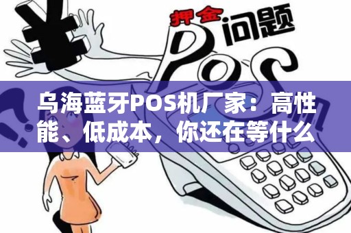 乌海蓝牙POS机厂家：高性能、低成本，你还在等什么？