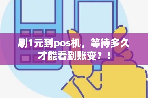 刷1元到pos机，等待多久才能看到账变？！
