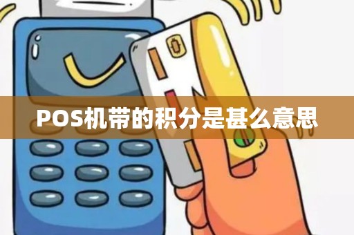 POS机带的积分是甚么意思