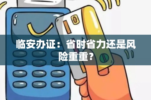 临安办证：省时省力还是风险重重？