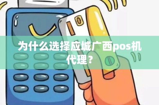 为什么选择应城广西pos机代理？