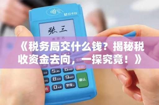 《税务局交什么钱？揭秘税收资金去向，一探究竟！》