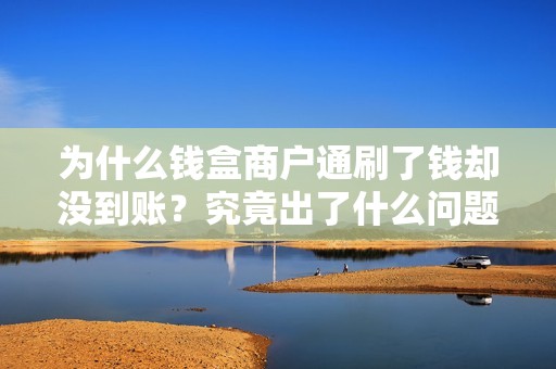 为什么钱盒商户通刷了钱却没到账？究竟出了什么问题？