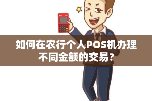 如何在农行个人POS机办理不同金额的交易？