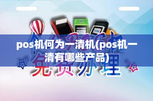 pos机何为一清机(pos机一清有哪些产品)