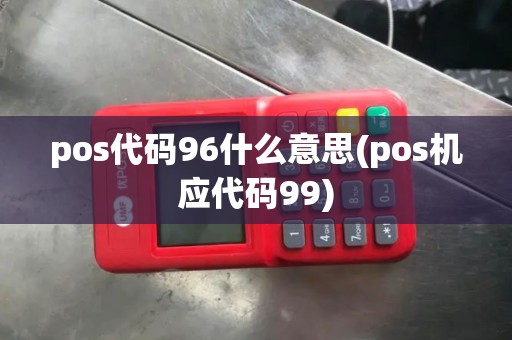 pos代码96什么意思(pos机应代码99)