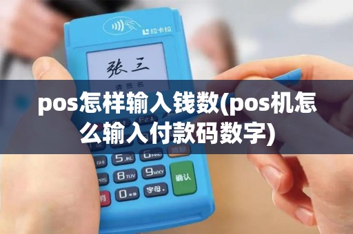 pos怎样输入钱数(pos机怎么输入付款码数字)