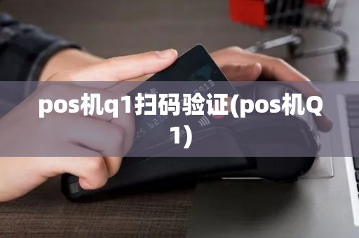 pos机q1扫码验证(pos机Q1)