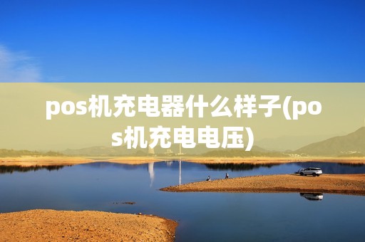 pos机充电器什么样子(pos机充电电压)