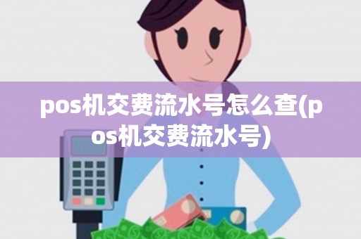 pos机交费流水号怎么查(pos机交费流水号)