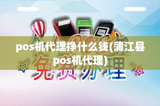 pos机代理挣什么钱(蒲江县pos机代理)
