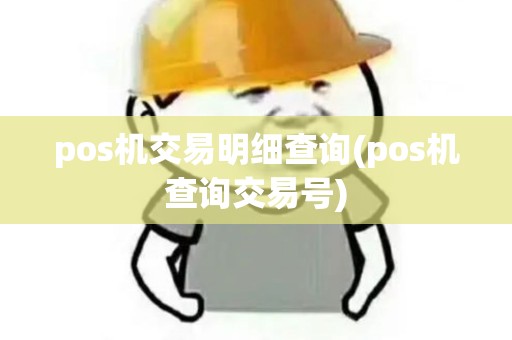 pos机交易明细查询(pos机查询交易号)