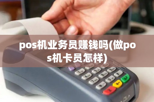 pos机业务员赚钱吗(做pos机卡员怎样)